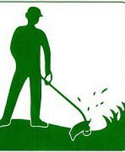 NOC Frères - Parcs & Jardins / Elagage image 2