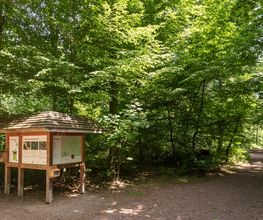 Eine Infotafel macht auf den FriedWald Schönebeck als Ort der letzten Ruhe aufmerksam.