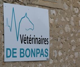Vétérinaires De Bonpas image 9