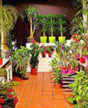 floristeria-garden-ocaflor-floristeria-interior-01.jpg