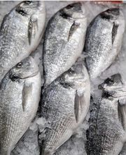 Julio Pérez SL imagen 6