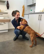 Kleintierpraxis Rhenus Bild 6