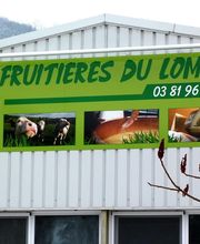 Novyroy SARL image 8