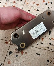 EI Geloen David image 19