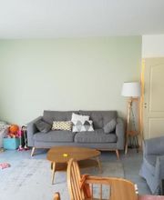 Shad Peinture image 7