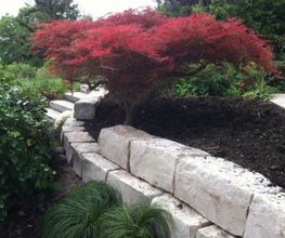 Heyer Gartenbau GmbH Bild 6