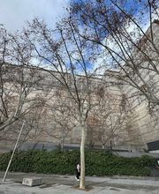 GARCIA PRO SCAFFOLD S L imagen 2