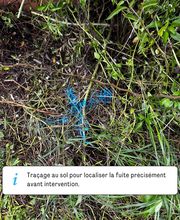 Allo la Fuite image 5