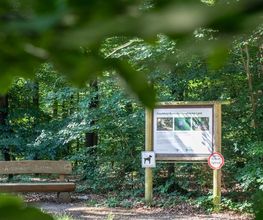 FriedWald Bramsche Bild 8