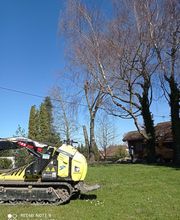 Arbo Pro image 3
