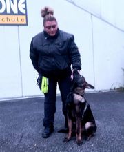 Primus Sicherheitsdienst Bild 1