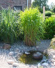 Landschaftsbau Nord Bild 1