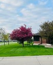 McAllister Orthodontics - Fremont image 8