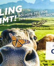 Junker H. U. AG Bild 2