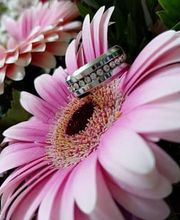 RingTime JL Bild 1