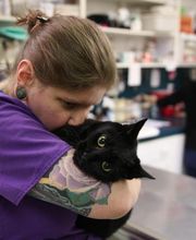 Levittown Animal Hospital image 20