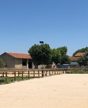 Ecole d'Equitation Du Bélice image 10
