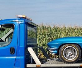 Richter Transporte & Handel Bild 6