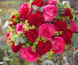 Sylvie Fleurs image 1