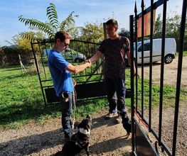 L'isle Aux Chiens image 6