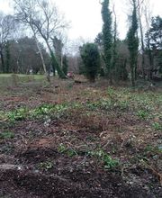 Nature Domestiquee image 13