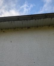 TBV Couverture image 6