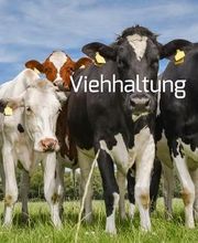 Egal ob Pferde, Rinder oder Schafe – wir versorgen Sie mit allem Nötigen