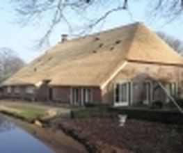 Aasman Rietdekkersbedrijf