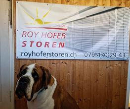Roy Hofer Storen GmbH Bild 2