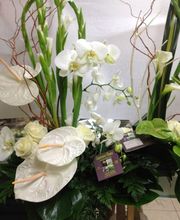 Laurence Fleurs image 4