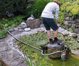 BRÜHWILER-GARTENBAU, BAUMPFLEGE Bild 4