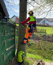 Baumdienst Daniel Laker Bild 4