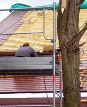 Belly Couverture image 14