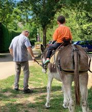 Camping Les Cerisiers image 1