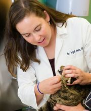 Indian Tree Animal Hospital image 7