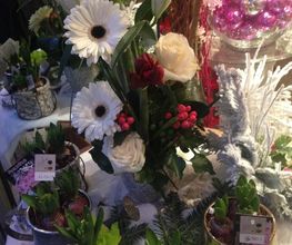 Baconnier Fleurs image 3