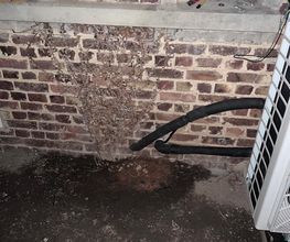 Afe Clim image 11