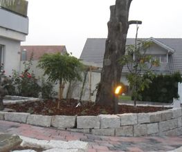 Schneider Garten Bild 11