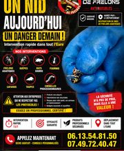 Chass'eure de Frelons image 1
