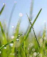 Praxis für Mind-Body-Medizin & Neurofeedback Sabrina Germann Bild 2