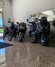 Gallery Cliente