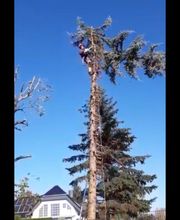Limaj - Garten und Gebäudeservice Bild 9