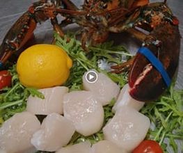 Ristorante Mio Bild 7