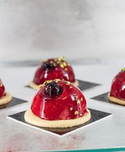 Gallery Professionale