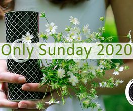 Only Sunday Biokosmetik