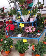 Les Jardins de Delphine image 3