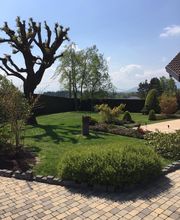 Création Paysage image 11