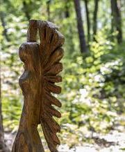 FriedWald Oberau Bild 6