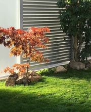 Ing. Adis Avdic alu-home.de Bild 1