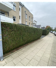 Hausmeisterservice K+K Bild 5